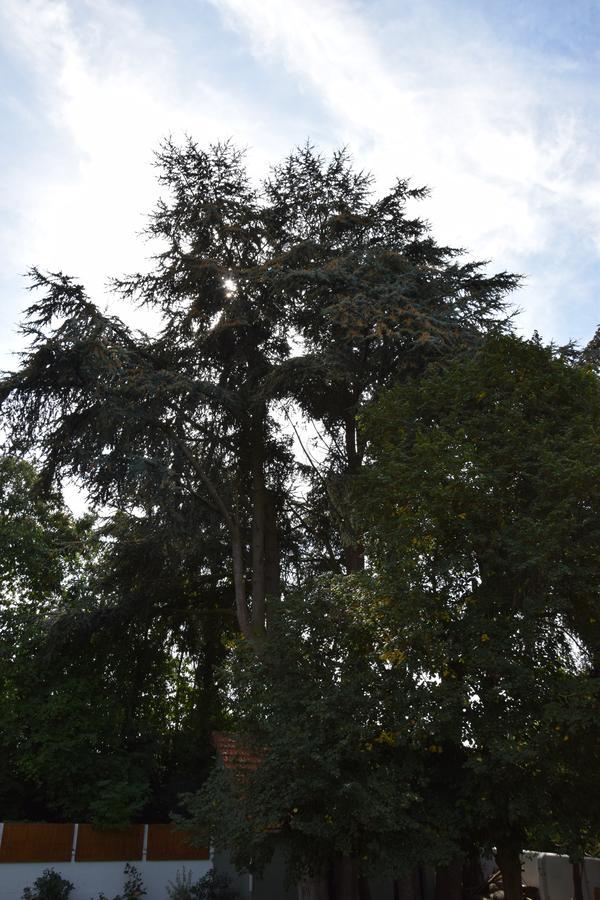 Mont B&B Pontorson Exterior foto